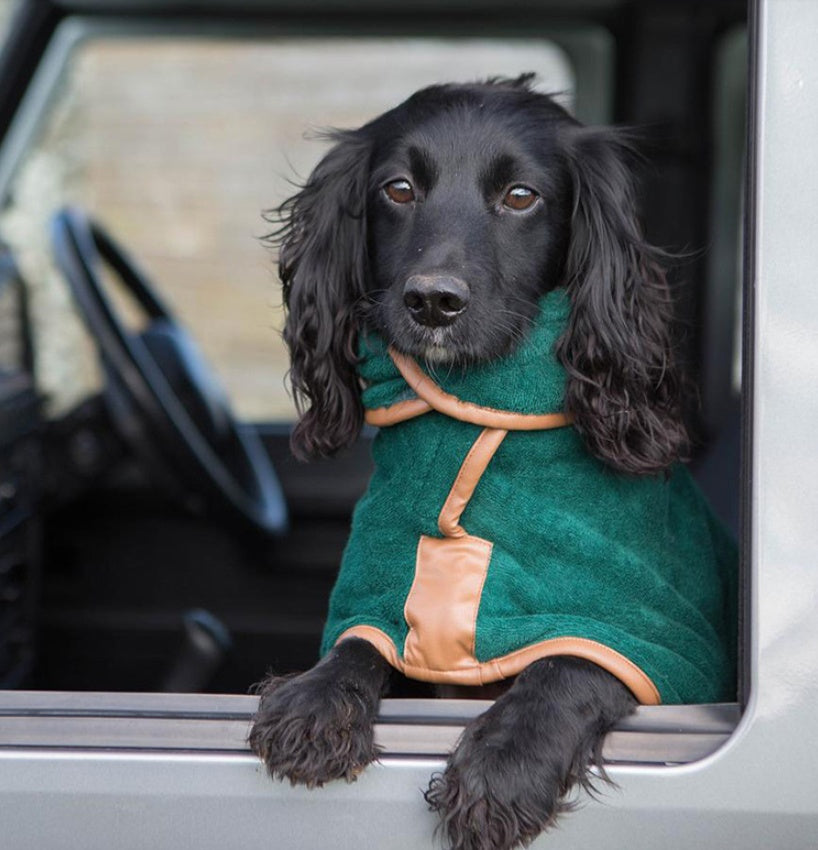 Why the Pet Quick-Drying Absorbent Bath Towel is a Must-Have for Pet Owners